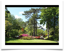 Spring at Bodnant Garden - Anne Tidswell
